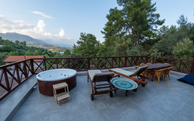 Olympos Stone House Private house