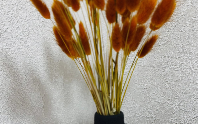 Апартаменты Загоровского 7/1