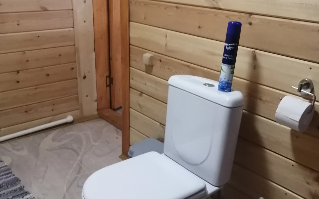 Частный дом у Яблоньки