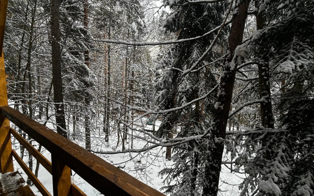 Mini hotel Grinvald 1474
