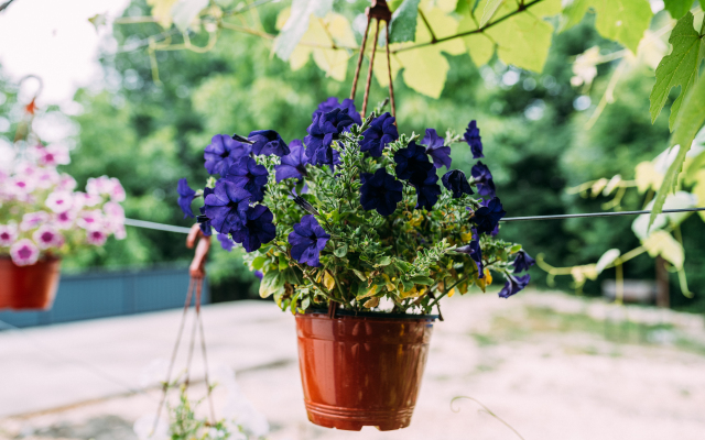 Гостевой дом Камменка