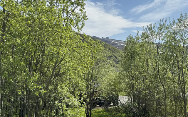 Odnokomnatnaya U Podnozhiya Khibin Flat