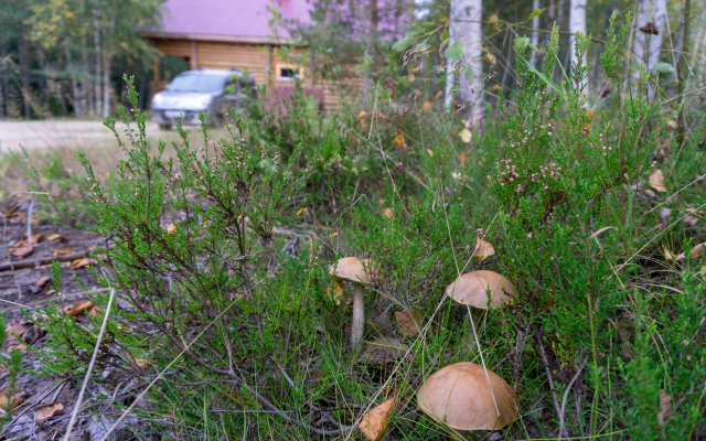 Lintula Guest house