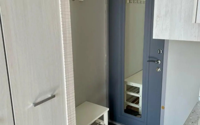 Udobnaya Studiya V Tsentre Apartments