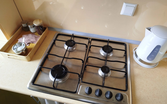 V tsentre Zelenogradska v 5 minutakh ot morya Apartments