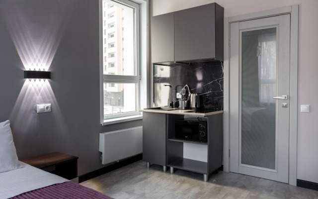 Studiya Na P. Romanova Apartments