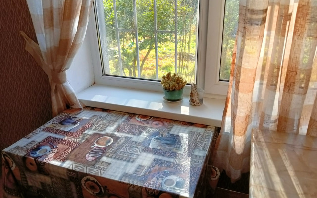 Odnokomnatnaya Flat