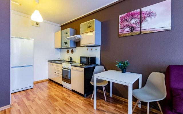 Апартаменты DreamHouse ЖК Стачек 4 1