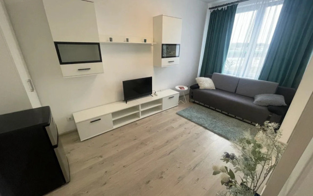 Квартира Студия Светлогорск молодежная