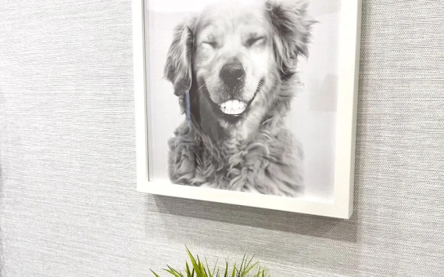 Квартира DreamApart Park & Comfort