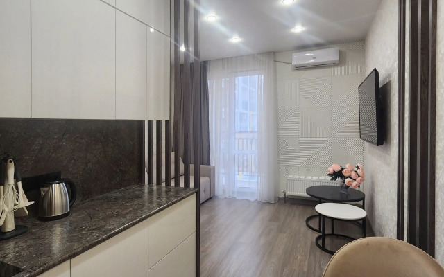 Studiya S Balkonom Apartments