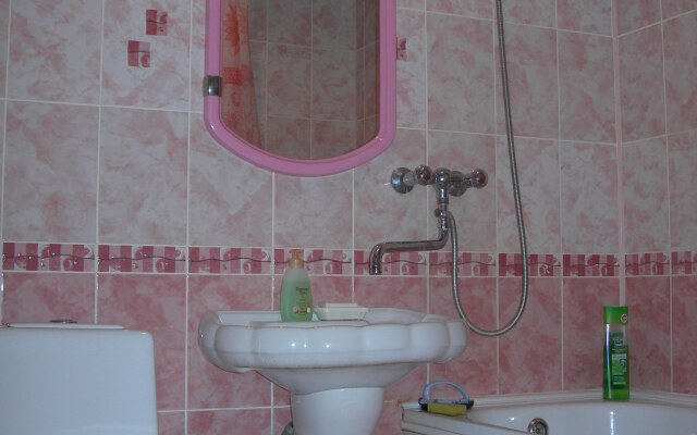 Апартаменты на Радищева