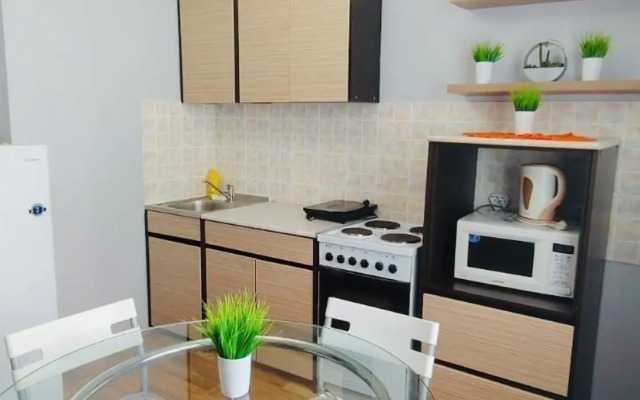 Квартира однокомнатная на Гребенщикова 5/1