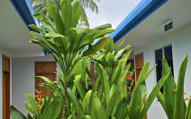 Гостевой Дом The Happiness Sun Suites