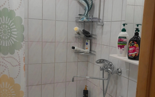 Квартира Просторная квартира в тихом районе