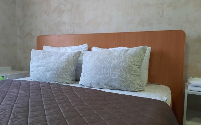 Апартаменты СтудГородок (39)