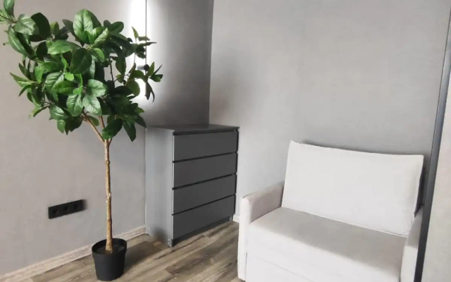 Квартира на Улице Толстого 25