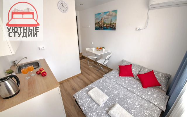 Квартира-студия 1 на Некрасовской
