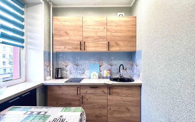 Onegograd-Vokzal Ll Flat
