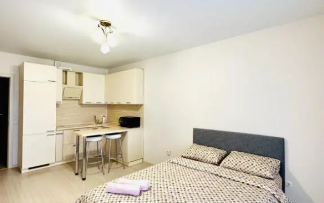 Апартаменты 3 Pant Family House Ватутинки