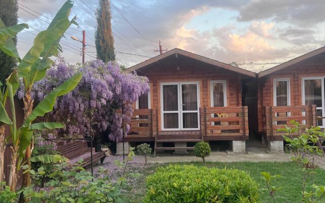 Viktoriya Private House