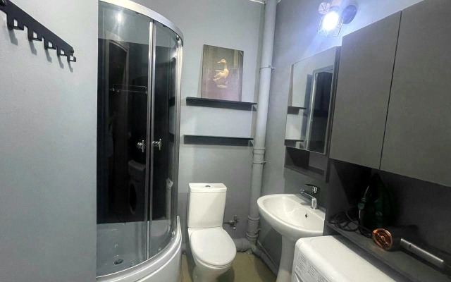 Апартаменты Серый Гусь