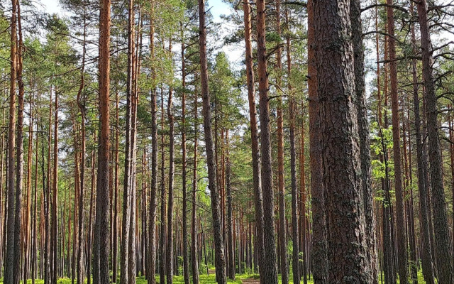 Частный дом в Вязах 2