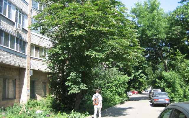 Internatsionalnaya 54 Center Goroda