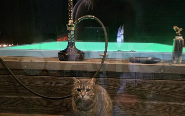 Шале 36 градусов