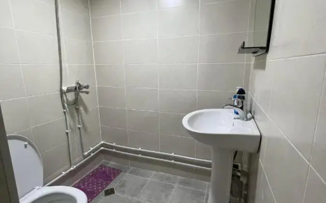Old Omalo Guest house