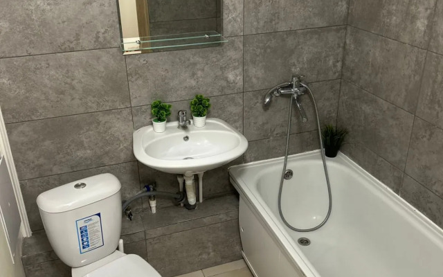 Dream House U Aeroporta Apartments