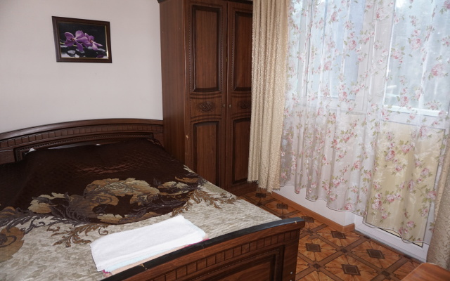 Zelenye Fonariki Guest House