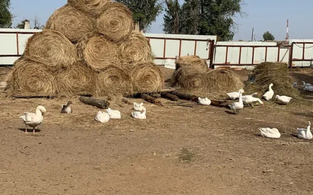 База отдыха Летучая рыба