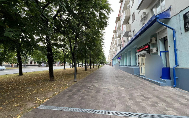 Na Prospekte Lenina Flat