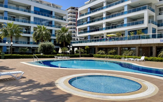 SA Nice 1bd Flat Apartments