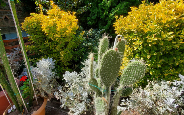 Отель West Tbilisi