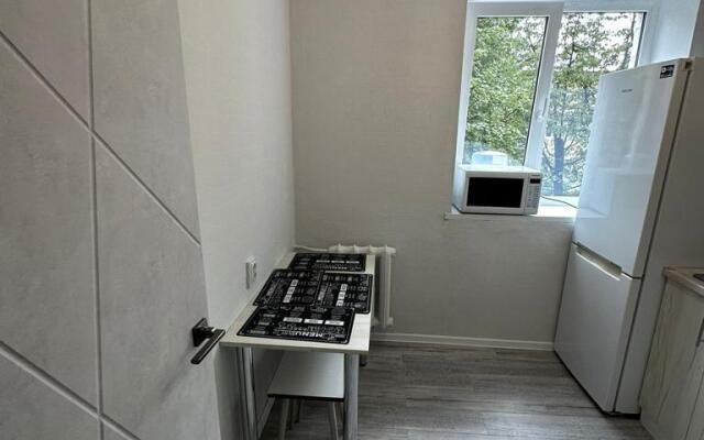 Uyutnye apartamenty v tsentre goroda Flat