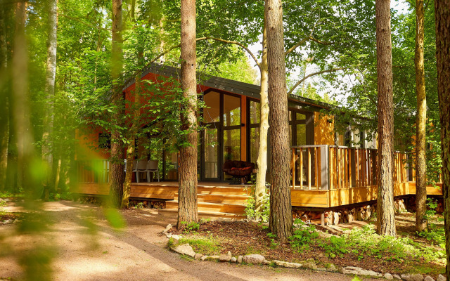 Bolshaya Repinskaya Dacha v Lesu Private House