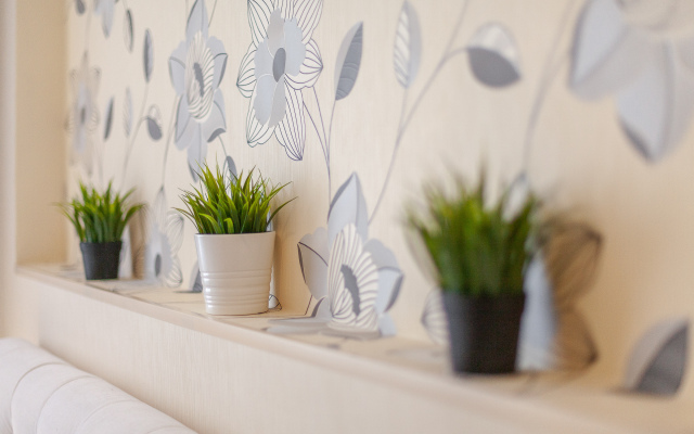 Апартаменты  RentPlaza на Улице Революционной-Центр