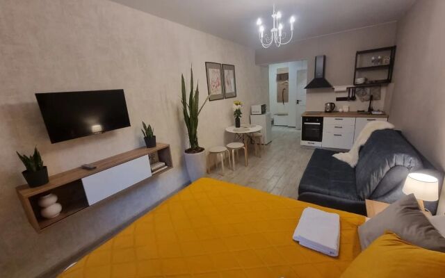 Na Bulvare Radischeva 29 Flat
