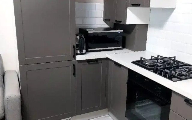 Квартира 1-комнатная Светлогорск