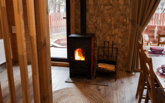 Гостевые дома Шишка