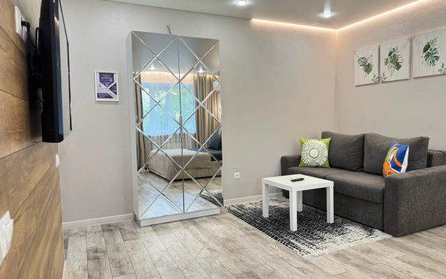 Elitnaya Studiya v Tsentre Goroda Flat