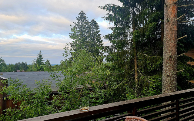 Коттедж Черничный Склон Violet House