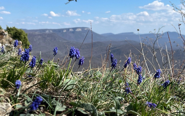 Гостевой дом Ранчо в горах Лаго-Наки
