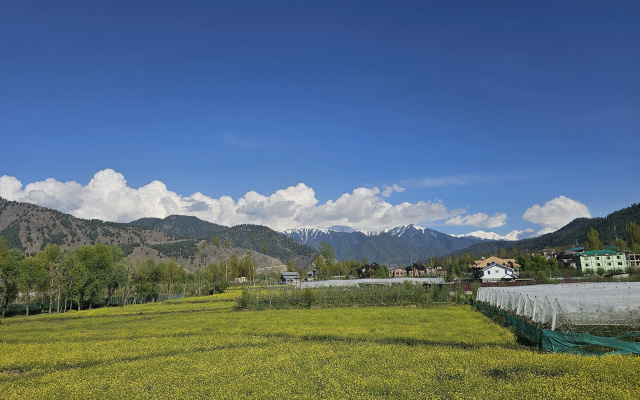 Отель Riverwood Kokernag