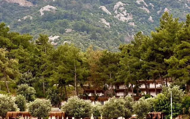 Отель Z-Villas Beach Hotel