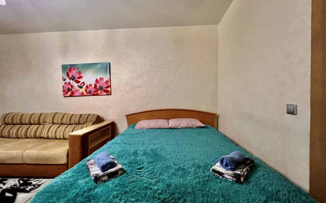 Квартира с двумя раздельными спальнями в центре на Егорова