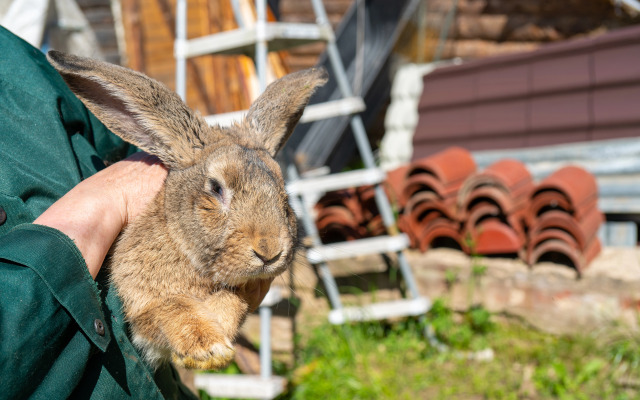 База отдыха Рыбацкая деревня