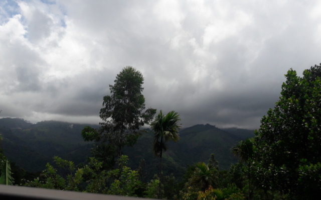 Munnar Farm House
